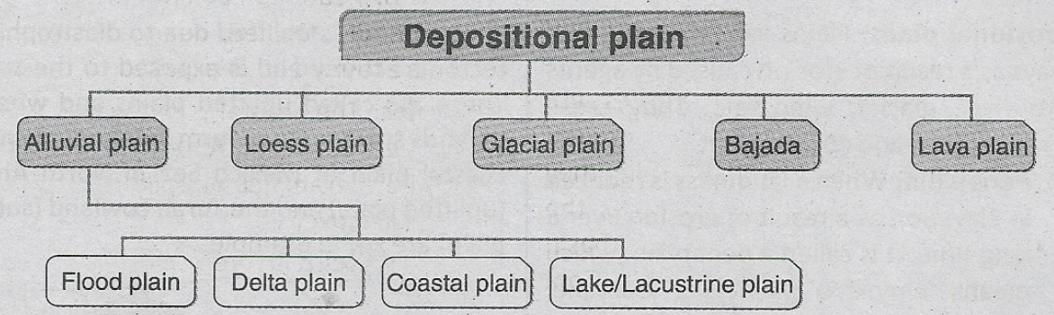 WBBSE Solutions For Class 9 Geography And Environment Chapter 4 Geomorphic Process And Landforms Of The Earth Despositional plain