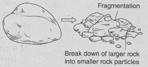 WBBSE Solutions For Class 9 Geography And Environment Chapter 5 ...