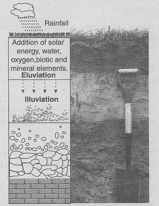 WBBSE Solutions For Class 9 Geography And Environment Chapter 5 Weathering steps of soil erorions
