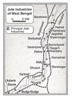 WBBSE Solutions For Class 9 Geography And Environment Chapter 8 west bengal jute