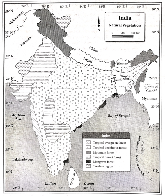 WBBSE Solutions Class 10 geography and environment chapter Chapter 5 India Physical Environment natural vegetation of india regional distibution of natural vegetation of india