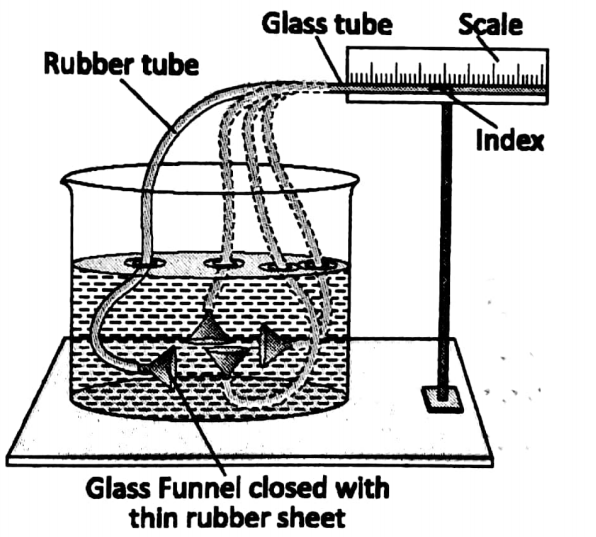 WBBSE solutions for 8 Chapter-1 Physical environment Sec-1 Forces And pressure Glass funnel closed with thin rubber sheet