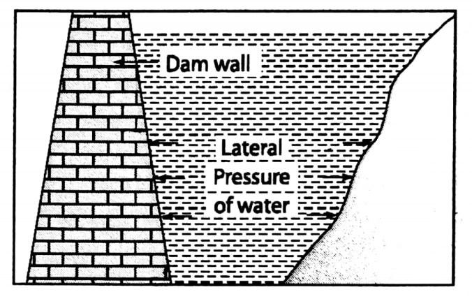 WBBSE solutions for 8 Chapter-1 Physical environment Sec-1 Forces And pressure dam wall