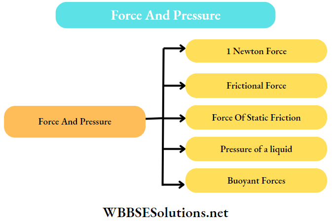 Force And Pressure
