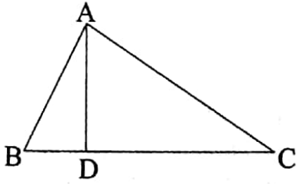 WBBSE Solutions For Class 7 Maths Geometry Chapter 1 Angle Triangle And Quadrilateral Exercise 1 Height Of A Triangle