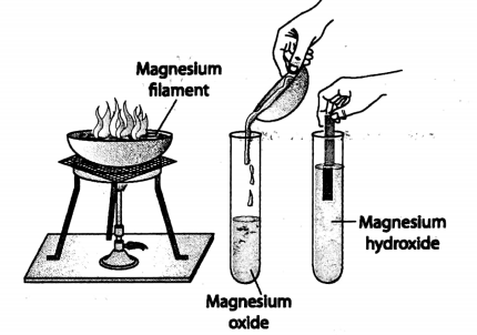 WBBSE Solutions For Class 8 Chapter-2 Element, compound and chemical reaction sec-1 Nature of matter Reaction with oxygen