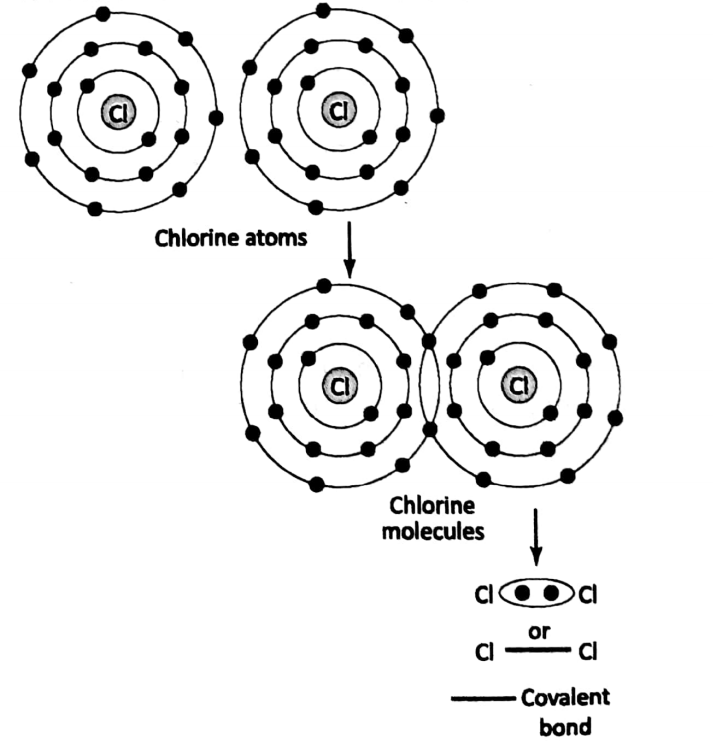 WBBSE Solutions For Class 8 Chapter-2 Element, compound and chemical reaction sec-2 Structure of matter Covalent bond