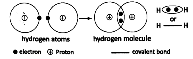 WBBSE Solutions For Class 8 Chapter-2 Element, compound and chemical reaction sec-2 Structure of matter mass number hydrogen molecule