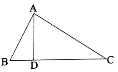 WBBSE Solutions For Class 8 Maths Geometry Chapter 1 Angles 10