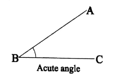 WBBSE Solutions For Class 8 Maths Geometry Chapter 1 Angles Acute angle