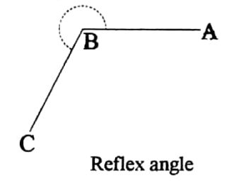 WBBSE Solutions For Class 8 Maths Geometry Chapter 1 Angles Reflex angle