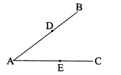 WBBSE Solutions For Class 8 Maths Geometry Chapter 1 Angles