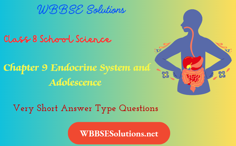 WBBSE Solutions For Class 8 School Science Chapter 9 Endocrine System and Adolescence Very Short Answer Type Questions