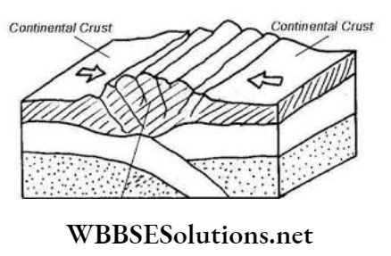 WBBSE Solutions For Class 9 Geography And Environment Chapter 4 Geomorphic Process And Landforms Of The Earth Formation of fold mountains