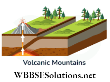 WBBSE Solutions For Class 9 Geography And Environment Chapter 4 Geomorphic Process And Landforms Of The Earth Magma chamber