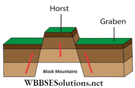 WBBSE Solutions For Class 9 Geography And Environment Chapter 4 Geomorphic Process And Landforms Of The Earth formation of block mountain