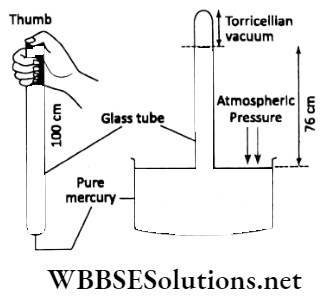 WBBSE solutions for 8 Chapter-1 Physical environment Sec-1 Forces And pressure Glass tudes