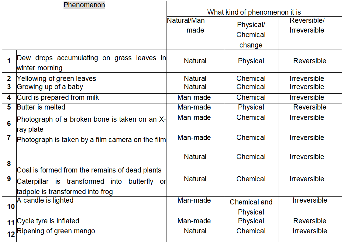 Chapter 2 Phenomena Around Us table classifying