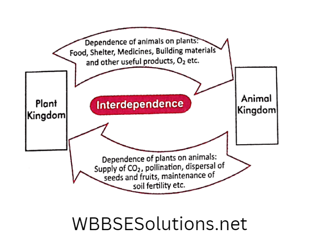 School Science chapter 1 Interdependence Of Organisms and Environment 1.2
