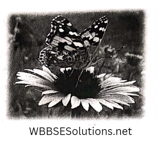 WBBSE Notes For Class 6 School Science Chapter 1 Interdependence Of