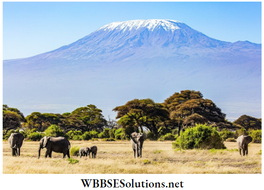 WBBSE Solutions For Class 7 Geography Chapter 10 Topic A Physiography Drainage And Natural Vegetation Mt. Kilimanjaro
