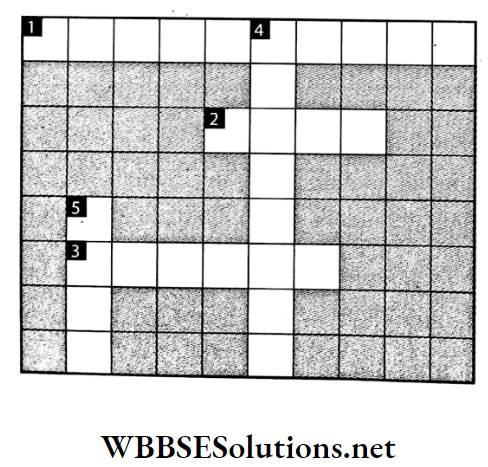 WBBSE Solutions For Class 7 Geography Chapter 3 Air Pressure Crossword