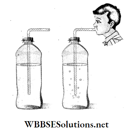 WBBSE Solutions For Class 7 Geography Chapter 3 Air Pressure Experiment to from bubbles