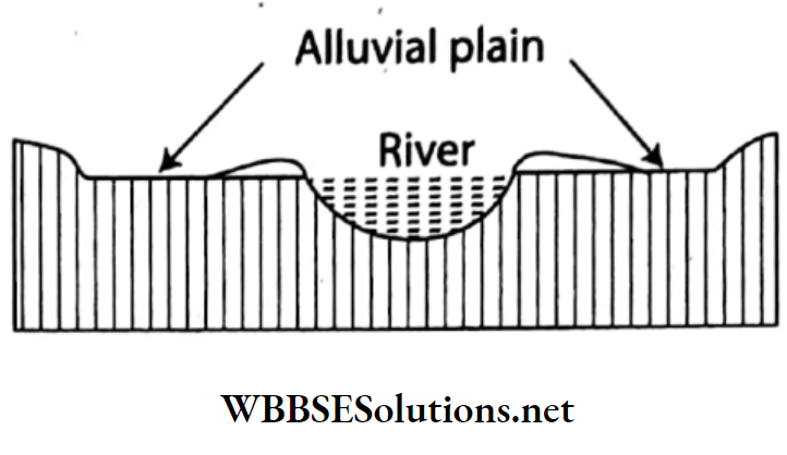 WBBSE Solutions For Class 7 Geography Chapter 4 Landforms Topic C Plains Alluvial plain