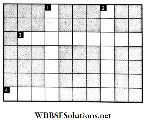 WBBSE Solutions For Class 7 Geography Chapter 5 River Topic B Works Of River And Its Influences On Our Life Crossword.