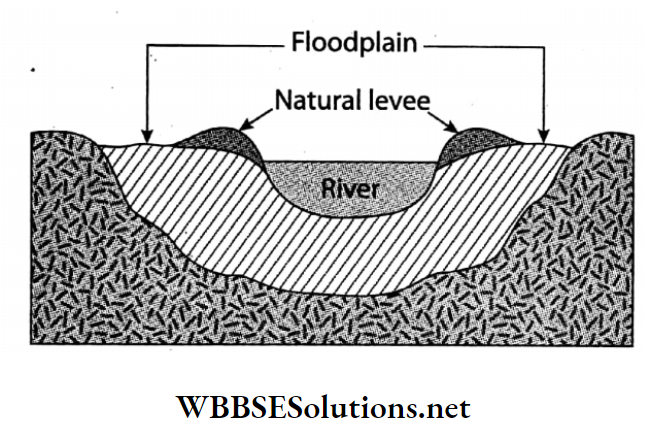 WBBSE Solutions For Class 7 Geography Chapter 5 River Topic B Works Of River And Its Influences On Our Life Floodplain and natural levee