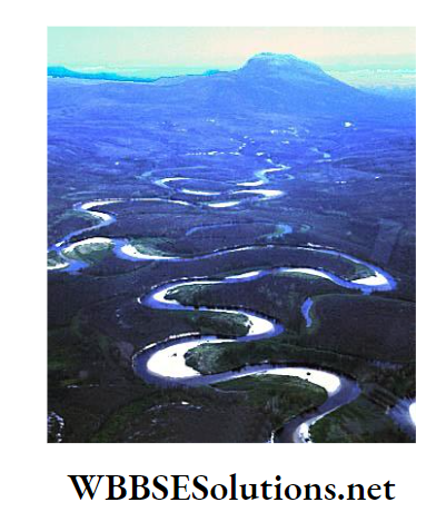 WBBSE Solutions For Class 7 Geography Chapter 5 River Topic B Works Of River And Its Influences On Our Life Meandering course of a river