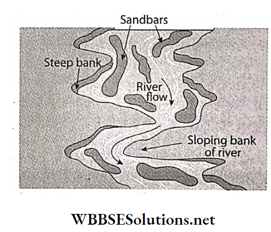 WBBSE Solutions For Class 7 Geography Chapter 5 River Topic B Works Of River And Its Influences On Our Life Sandbars and braided river