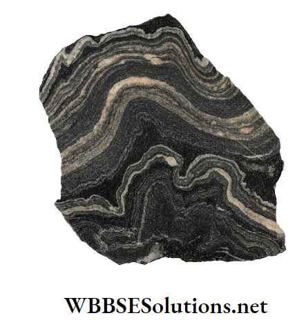 WBBSE Solutions For Class 7 Geography Chapter 6 Rock And Soil Topic A Rock Gneiss