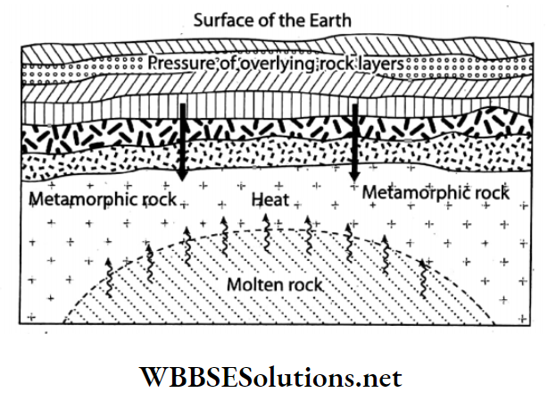 WBBSE Solutions For Class 7 Geography Chapter 6 Rock And Soil Topic A Rock Origin of metamorphic rock