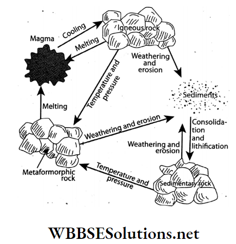 WBBSE Solutions For Class 7 Geography Chapter 6 Rock And Soil Topic A Rock Rock cycle