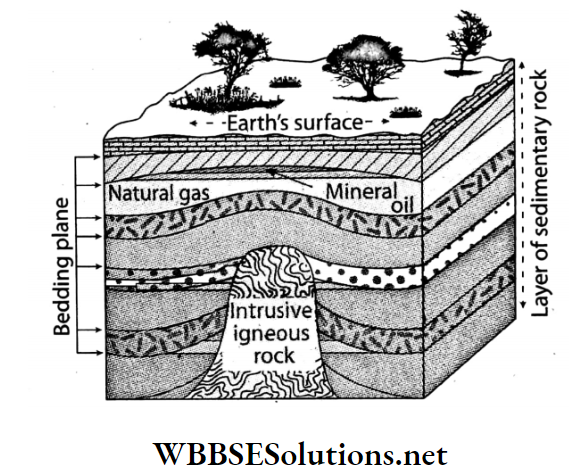 WBBSE Solutions For Class 7 Geography Chapter 6 Rock And Soil Topic A Rock Sedimentary rock
