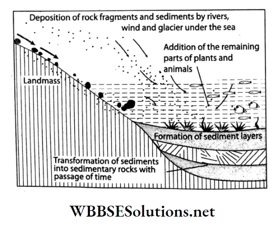 WBBSE Solutions For Class 7 Geography Chapter 6 Rock And Soil Topic A Rock formation of Sedimentary rock