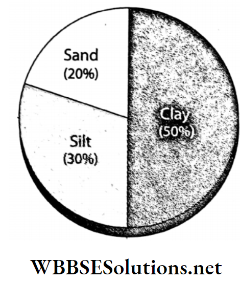 WBBSE Solutions For Class 7 Geography Chapter 6 Rock And Soil Topic B Soil Clayey soil
