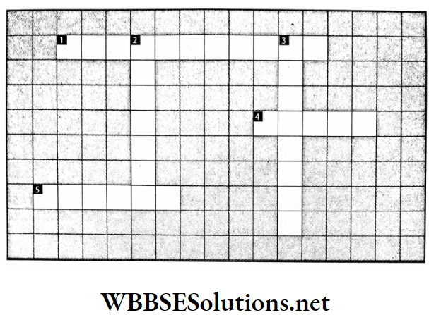 WBBSE Solutions For Class 7 Geography Chapter 6 Rock And Soil Topic B Soil Crossword