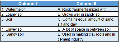 WBBSE Solutions For Class 7 Geography Chapter 6 Rock And Soil Topic B Soil match the columns