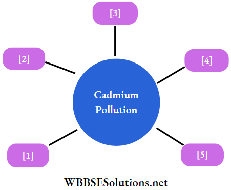 WBBSE Solutions For Class 7 Geography Chapter 7 Water Pollution Cadmium pollution
