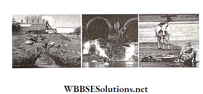 WBBSE Solutions For Class 7 Geography Chapter 7 Water Pollution Causes of water pollution in urban and rural areas