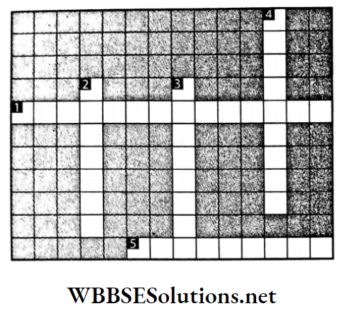 WBBSE Solutions For Class 7 Geography Chapter 7 Water Pollution Crossword