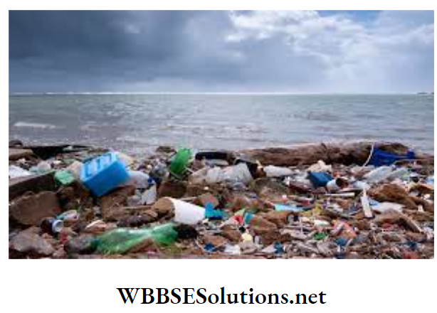WBBSE Solutions For Class 7 Geography Chapter 7 Water Pollution Pollution by plastic