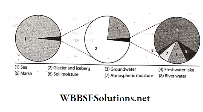 WBBSE Solutions For Class 7 Geography Chapter 7 Water Pollution The major water reserves on earth
