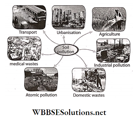 WBBSE Solutions For Class 7 Geography Chapter 8 Soil Pollution Causes of soil pollution