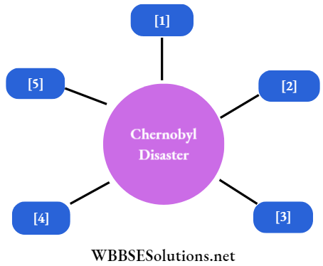 WBBSE Solutions For Class 7 Geography Chapter 8 Soil Pollution Chernobyl Disaster