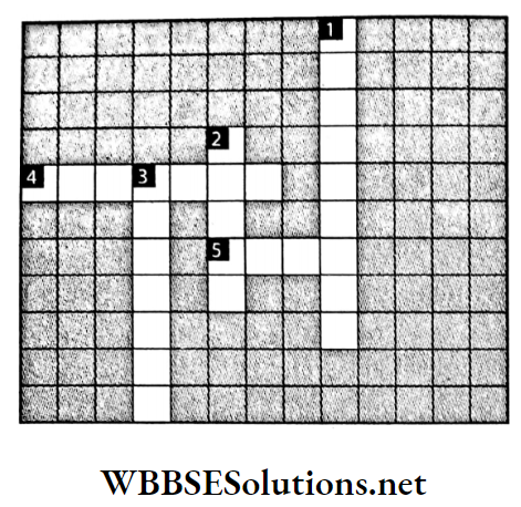 WBBSE Solutions For Class 7 Geography Chapter 8 Soil Pollution Crossword.