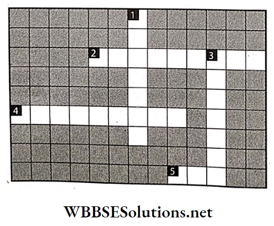 WBBSE Solutions For Class 7 Geography Chapter 8 Soil Pollution Crossword