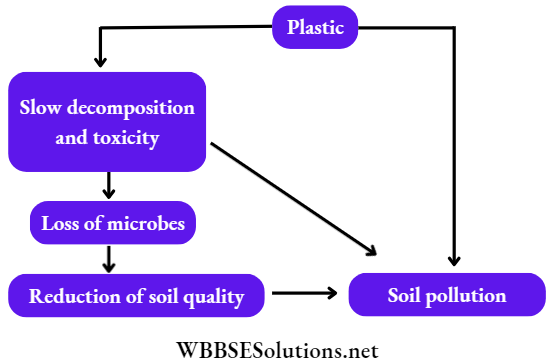 WBBSE Solutions For Class 7 Geography Chapter 8 Soil Pollution Plastic pollution